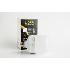 Лампа LED  LIGRA  Т100 30W-Е27-6000К 2700Lm 185-240V